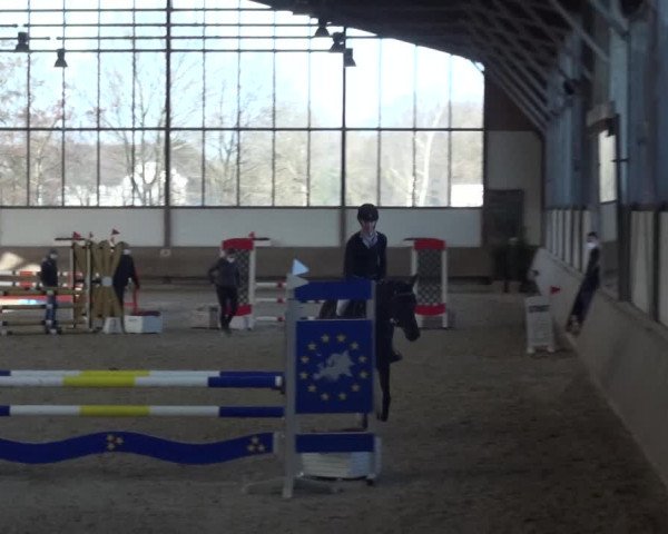 Reitturnier Langenfeld - Gut Langfort 2021
