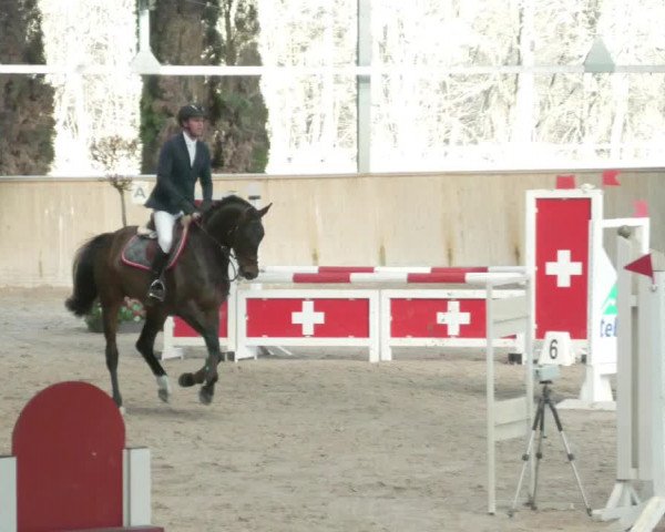 Reitturnier Lahr-Langenwinkel 2021