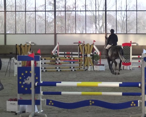 Reitturnier Langenfeld - Gut Langfort 2021