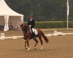 stallion Flexio (Oldenburg, 2008, from Fürst Romancier)