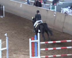 broodmare Baloubetty (Hanoverian, 2005, from Balou du Rouet)
