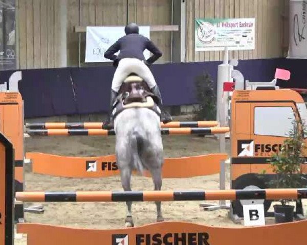broodmare Mylena (Hanoverian, 2005, from Galan ShA)