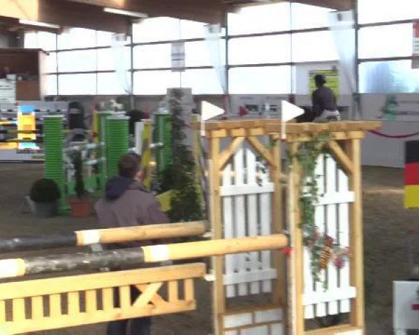 jumper Weltino 44 (Hanoverian, 2006, from Weltmeyer)