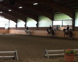 dressage horse Weltwilli (Hanoverian, 2003, from Weltmeyer)