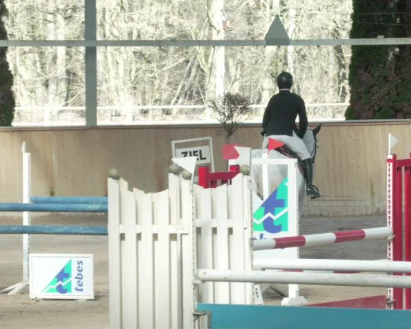 Reitturnier Lahr-Langenwinkel 2021