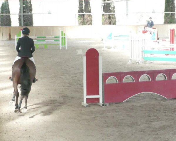 Reitturnier Lahr-Langenwinkel 2021