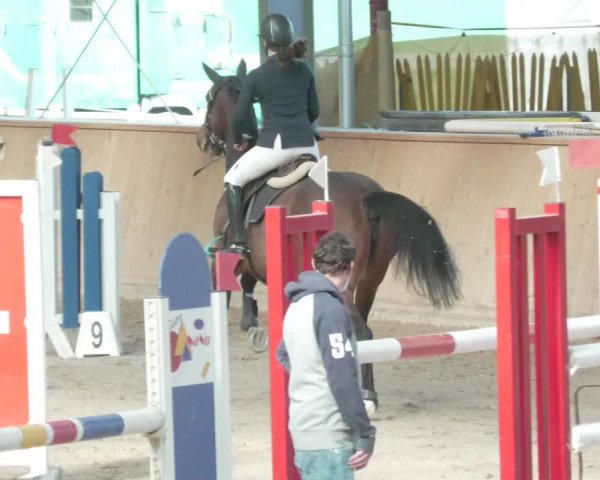 Reitturnier Lahr-Langenwinkel 2021