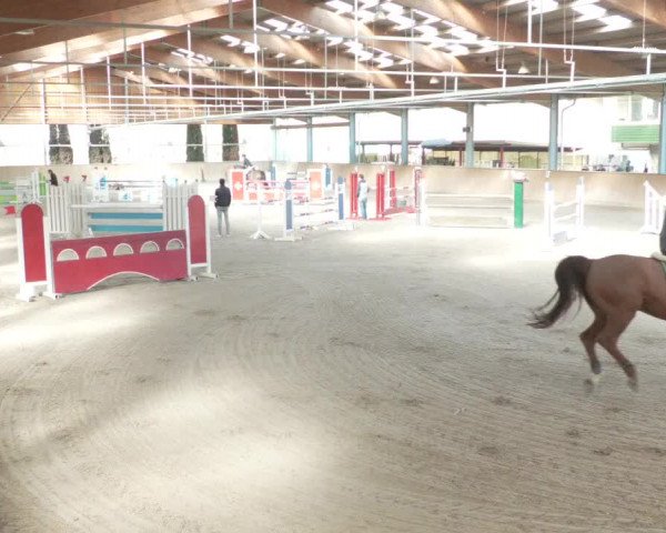 Reitturnier Lahr-Langenwinkel 2021