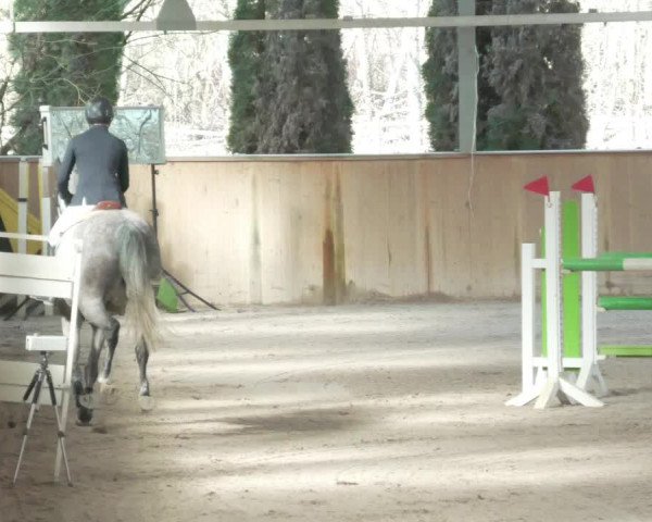 Reitturnier Lahr-Langenwinkel 2021