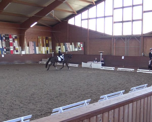 Reitturnier Buchholz in der Nordheide 2021