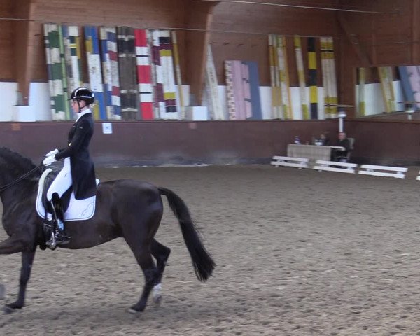 Reitturnier Buchholz in der Nordheide 2021