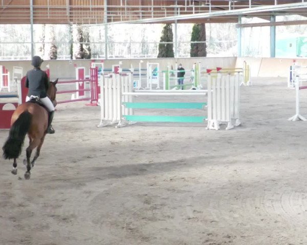 Reitturnier Lahr-Langenwinkel 2021