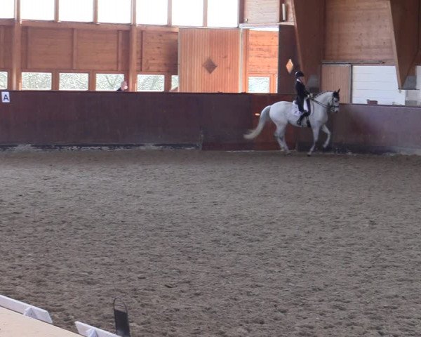 Reitturnier Buchholz in der Nordheide 2021