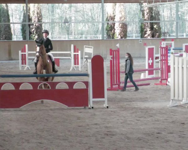 Reitturnier Lahr-Langenwinkel 2021