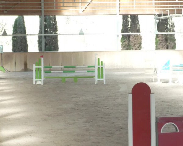 Reitturnier Lahr-Langenwinkel 2021