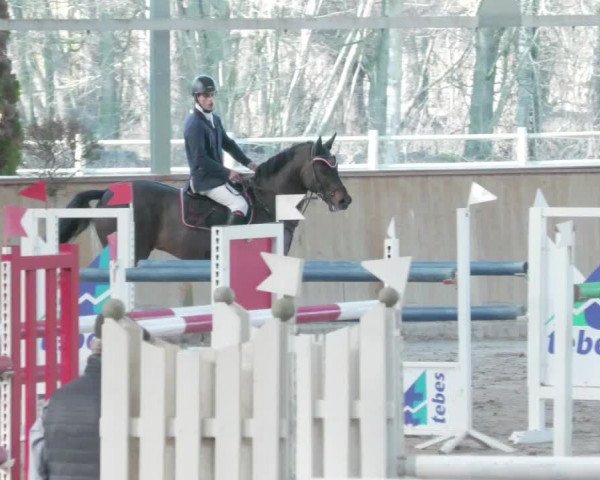 Reitturnier Lahr-Langenwinkel 2021