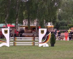 jumper Rascana 3 (Hanoverian, 2006, from Rascalino)