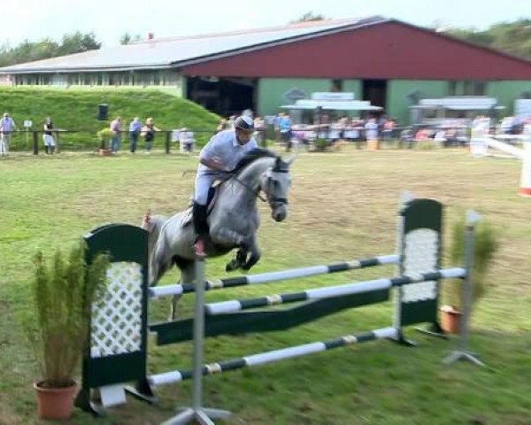 jumper Pablos Kiss (Hanoverian, 2006, from Prinz Pablo)