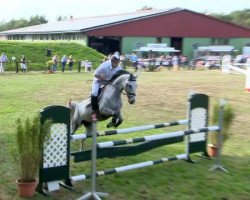 jumper Pablos Kiss (Hanoverian, 2006, from Prinz Pablo)
