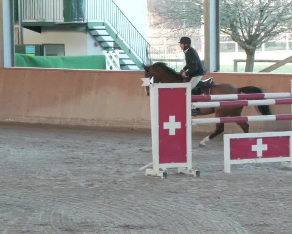 Reitturnier Lahr-Langenwinkel 2021
