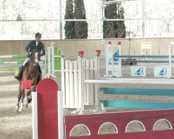 Reitturnier Lahr-Langenwinkel 2021