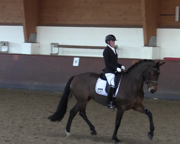 Reitturnier Buchholz in der Nordheide 2021