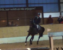 jumper Quarter Quisero (Hanoverian, 2007, from Quidam's Rubin)