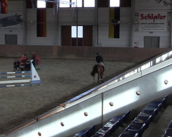 Reitturnier Prussendorf 2021