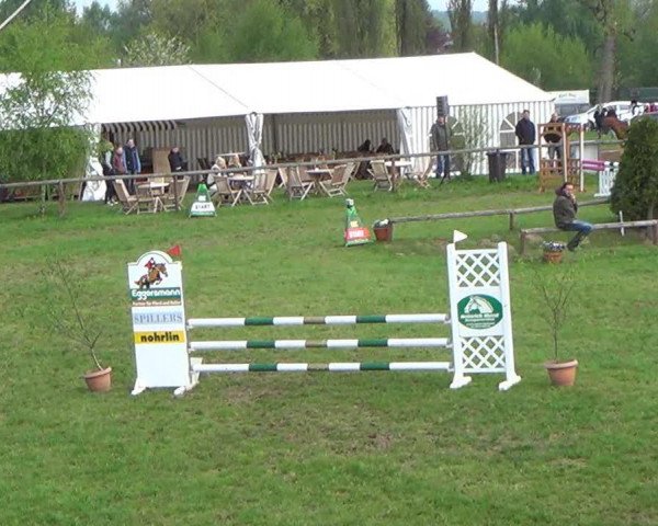 dressage horse Worldground (Hanoverian, 2005, from Weltregent H)