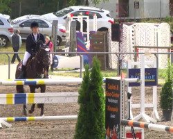 jumper La Kasimira (Hanoverian, 2004, from Langer Jan)