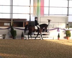 dressage horse Bargentino (Hanoverian, 2007, from Brentano II)