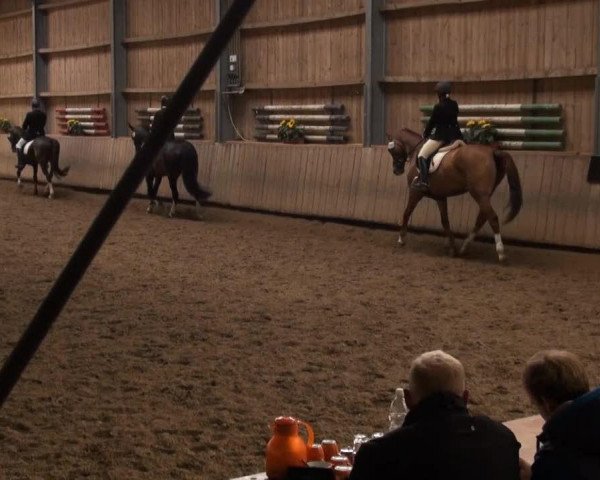 dressage horse Shou Shou H (Hanoverian, 2004, from Silvio I)