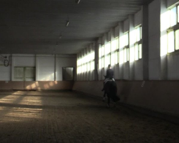 Reitturnier Prussendorf 2021