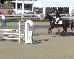dressage horse Fuchur 63 (Hanoverian, 2001, from Frenchman I)