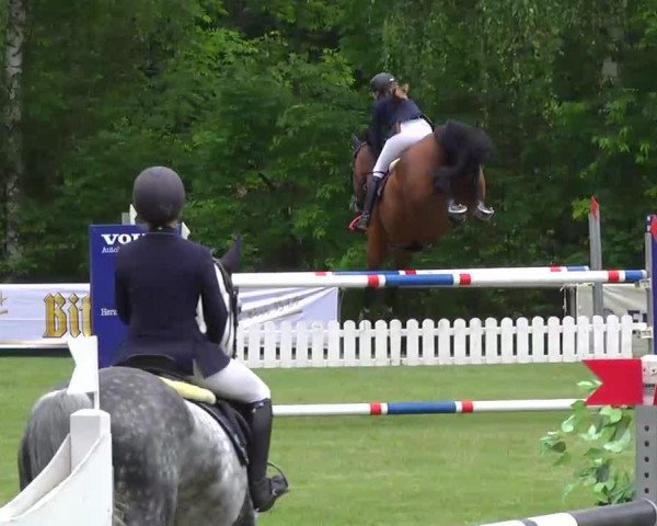 broodmare Ratina B (Hanoverian, 2000, from Rotspon)