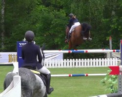 broodmare Ratina B (Hanoverian, 2000, from Rotspon)