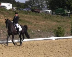 broodmare Raggedy Ann (Hanoverian, 2005, from Rotspon)