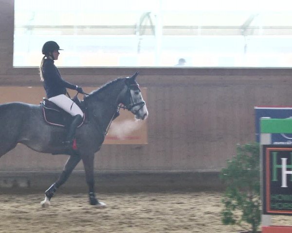 Reitturnier Gut Winkelacker/Obb. 2021