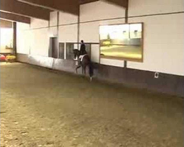 horse Wishing Well F (Hanoverian, 2002, from Worldly I)