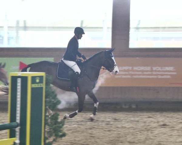 Reitturnier Gut Winkelacker/Obb. 2021