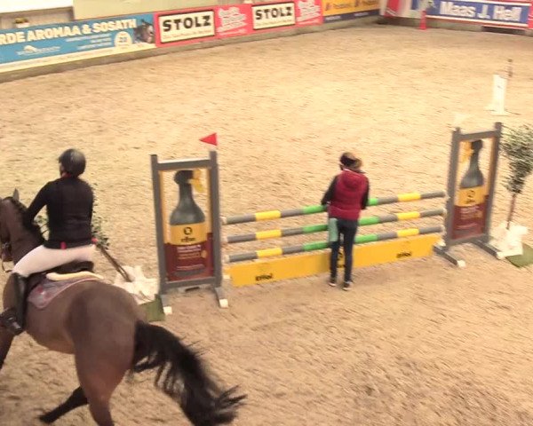Reitturnier Negernbötel 2021, 11. Nordic Jumping event 2020/2021