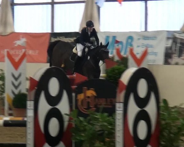 jumper Farina 937 (Hanoverian, 2005, from For Edition)