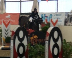 jumper Farina 937 (Hanoverian, 2005, from For Edition)