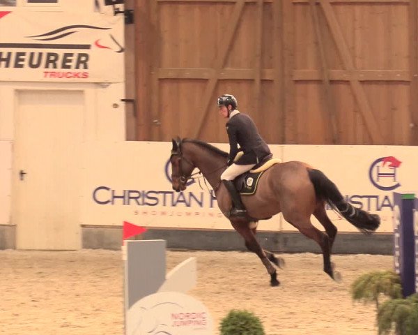 Reitturnier Negernbötel 2021, 11. Nordic Jumping event 2020/2021