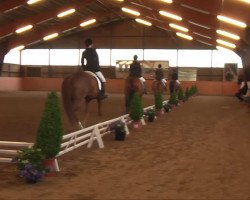 Dressurpferd Elouan (Hannoveraner, 2004, von Earl)