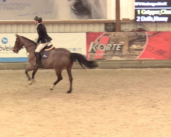 Reitturnier Negernbötel 2021, 11. Nordic Jumping event 2020/2021