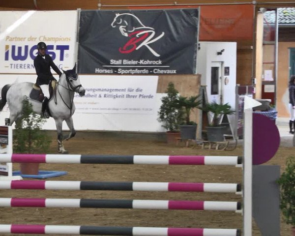 Reitturnier Gut Winkelacker/Obb. 2021