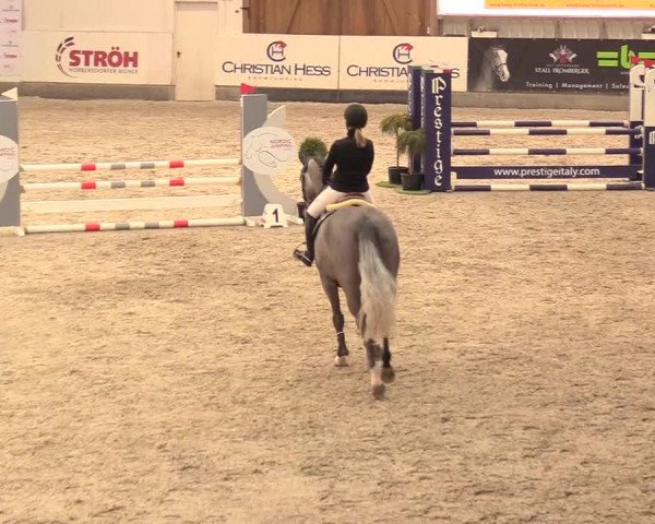 Reitturnier Negernbötel 2021, 11. Nordic Jumping event 2020/2021