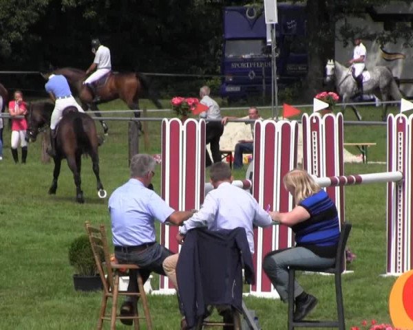 jumper Eileen D (Hanoverian, 2007, from Escudo I)