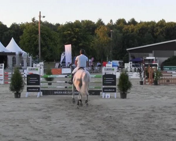 jumper Comander 9 (Hanoverian, 2007, from Cassus 2)